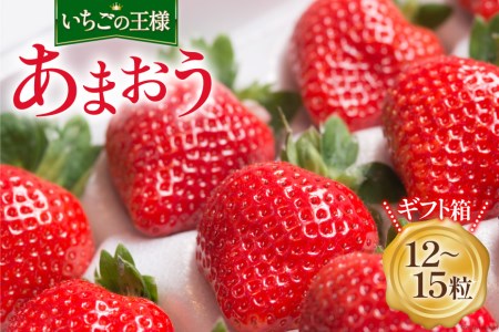 【期間限定発送】大粒で真っ赤な果肉 溢れ出す果汁 福岡産 あまおう 12-15粒 ギフト箱