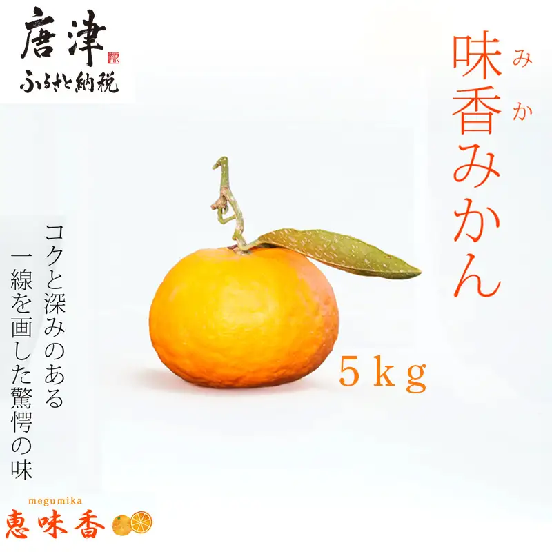『先行予約』【令和9年2月上旬発送】果皮も丸ごとガブッ！味香みかん 5kg