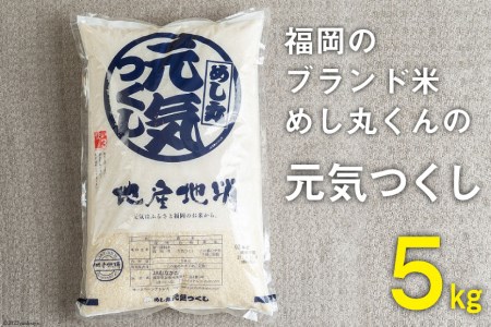 いつもの食卓に 「ちょっと贅沢な」福岡の美味しいお米 福岡の米 元気つくし 5kg