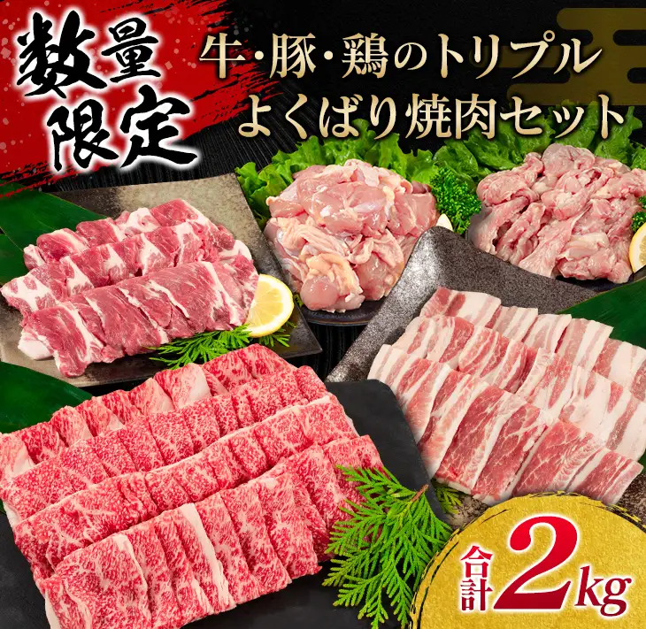 数量限定 牛肉 豚肉 鶏肉 トリプル よくばり 焼肉 セット 合計2kg 宮崎牛 ブランド牛 黒毛和牛 国産 食品 高級 贅沢 ご褒美 お祝 人気 おすすめ おかず お弁当 BBQ キャンプ グランピング お取り寄せ グルメ 詰め合わせ 大容量 宮崎県 日南市 送料無料_CB101-25