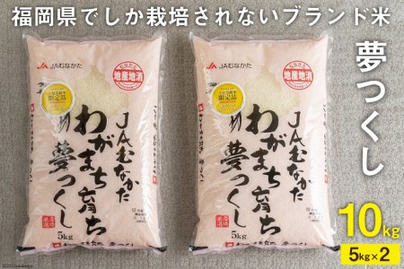 いつもの食卓に 「ちょっと贅沢な」福岡の美味しいお米 福岡の米 夢つくし 5kg×2