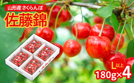 山形市産 さくらんぼ 佐藤錦 L以上 720g(180g×4パック) バラ詰め 【令和9年産先行予約】FS26-629