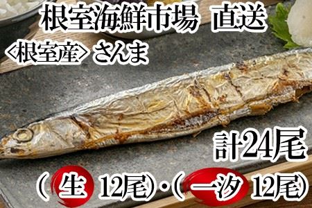 【北海道根室産】一汐さんま6尾入×2P、生さんま6尾入×2P A-11195