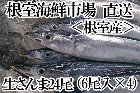 【北海道根室産】生さんま6尾入×4P(計24尾) A-14208