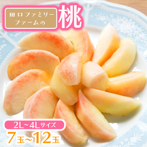 【田口ﾌｧﾐﾘｰﾌｧｰﾑ】旬の桃 2L～4L(7～12玉)(2026年6月中旬発送開始) N053-YZA466
