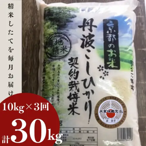 【3回定期便】コシヒカリ 10kg 定期便 精米 白米