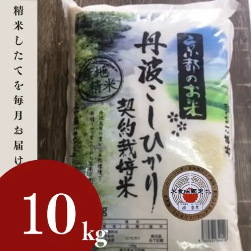 米 コシヒカリ 10kg 精米 白米