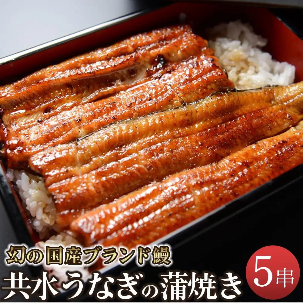 幻の国産ブランド鰻　共水うなぎのかば焼き　5串（約115g×5）タレ・山椒付き　極上の甘みとうまみ、ふっくらとした食感【鰻 魚介類 水産 食品 人気 おすすめ 】