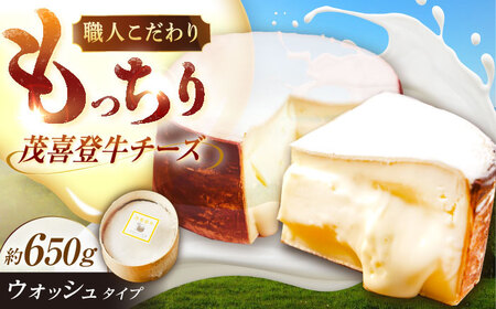 ＼即日～1ヶ月以内に配送／北海道 茂喜登牛 チーズ 約650g（ウォッシュタイプ）《足寄町》【しあわせチーズ工房】 [BEAK016]