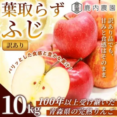 【訳あり】りんご 「葉取らずふじ」 約10kg ((約32～40個) 青森市 産地直送_果物・フルーツ りんご  リンゴ 林檎_【配送不可地域：離島】【1293216】