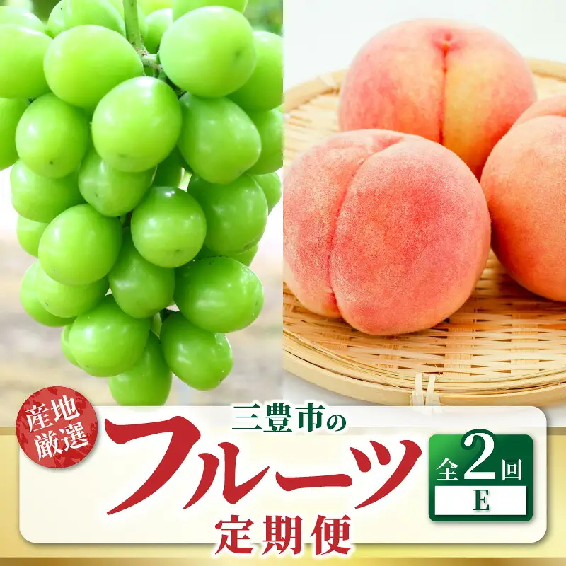 三豊市フルーツ2回お届け定期便E