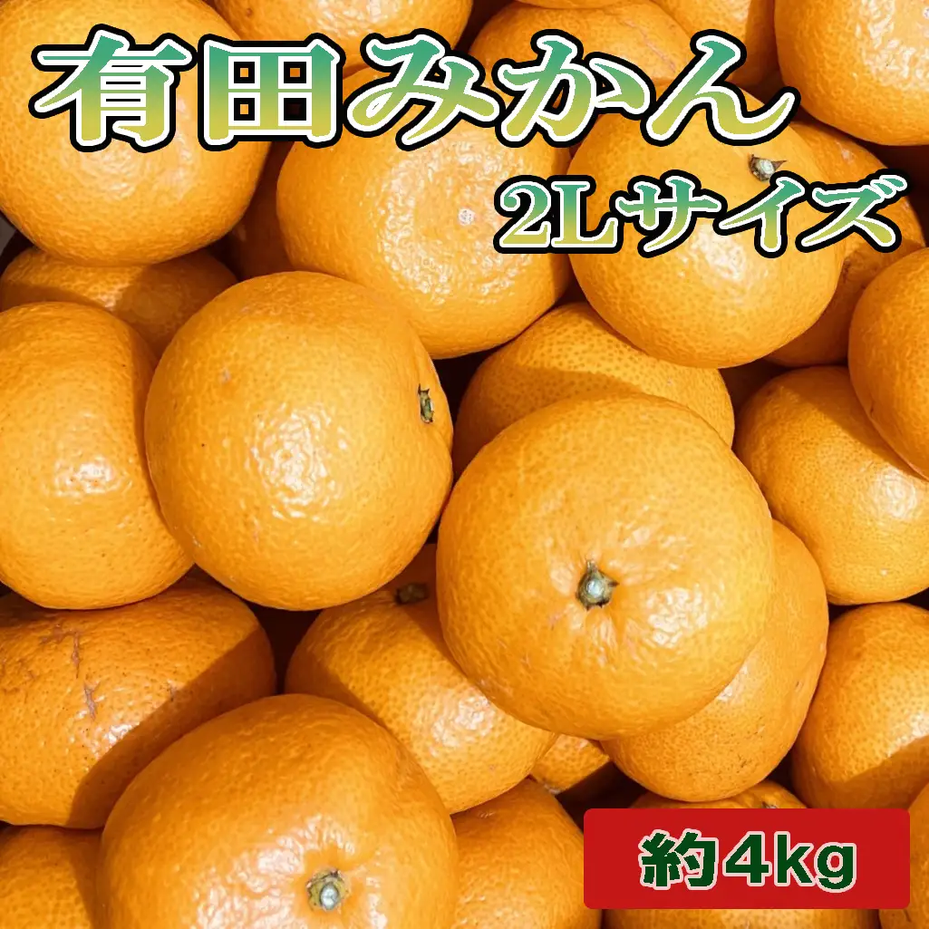 [秀品]和歌山有田みかん約4kg(2Lサイズ) ※2026年11月中旬～2027年1月中旬頃順次発送（お届け日指定不可） 【tec915B】