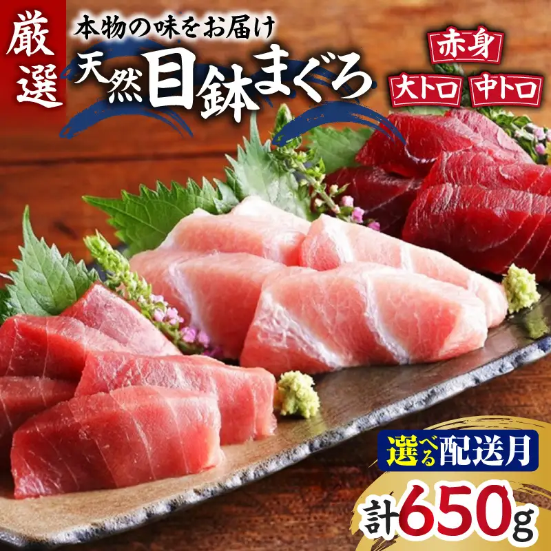 ＜選べる配送月＞ 本物 の 味をお届け ！ 厳選 ！ 天然 三崎 まぐろ 大トロ ・ 中トロ 赤身 セット M005-038 冷凍 マグロ