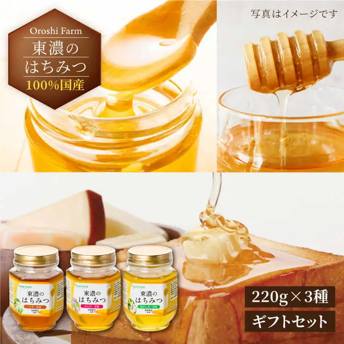 純粋はちみつ 3種ギフトセット計660g 無添加 非加熱 東濃のはちみつ [MAB002]