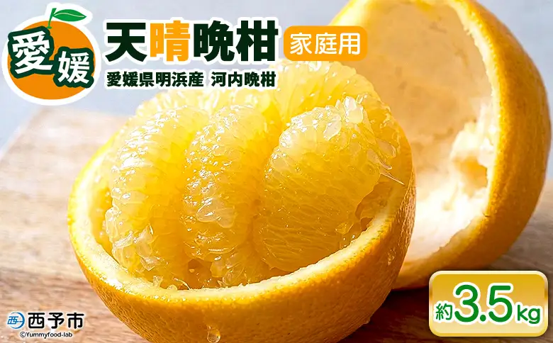 【先行予約】＜天晴晩柑（河内晩柑）約3.5kg 愛媛県明浜産 ＞ 家庭用 果物 柑橘 みかん 和製 グレープフルーツ 食べて応援 特産品 愛媛県 西予市【常温】『2027年4月上旬～5月下旬迄に順次出荷予定』AAN0014