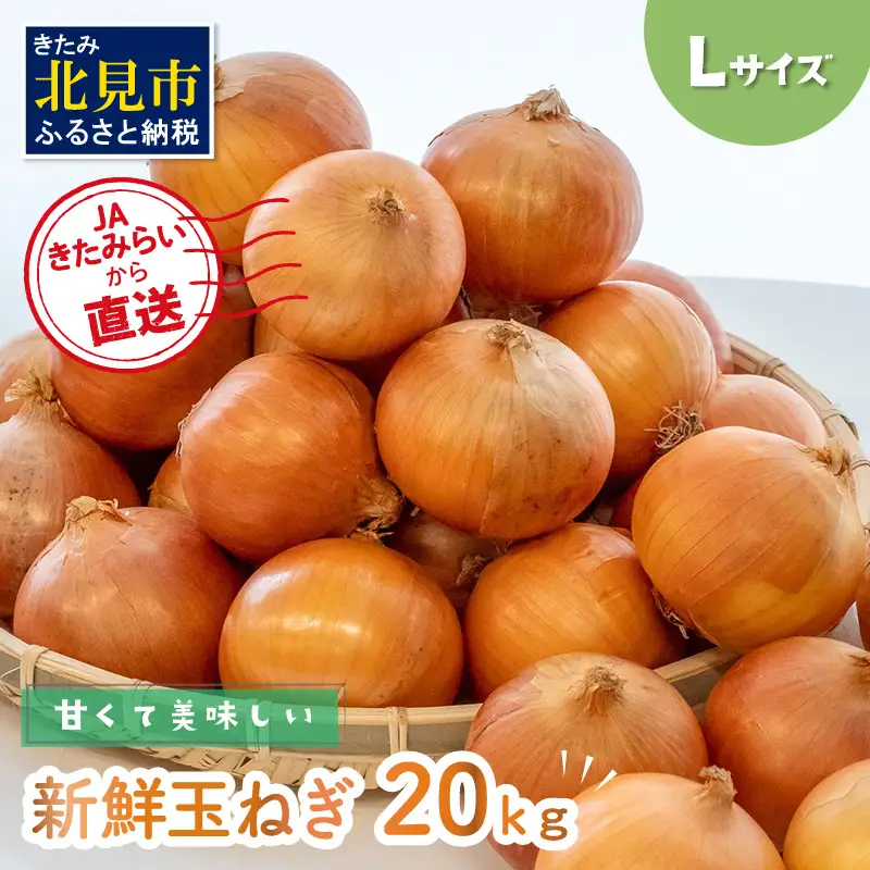 【予約：2026年10月中旬から順次発送】JAきたみらいから直送する甘くて美味しい新鮮玉ねぎ 20kg Lサイズ ( たまねぎ 野菜 北海道 玉葱 )【104-0008-2026】