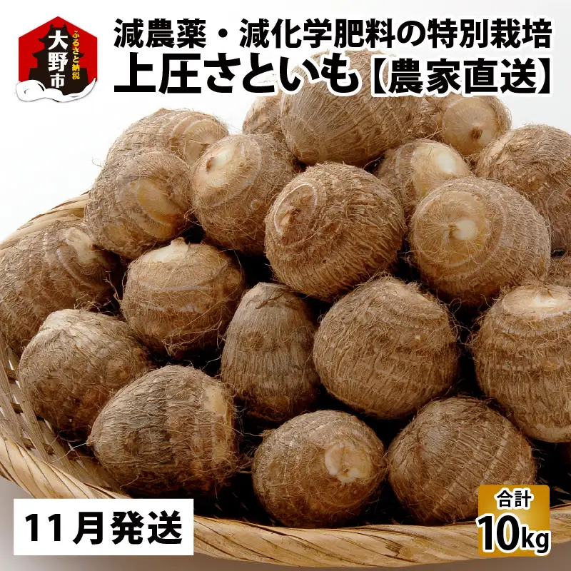 上庄さといも 【11月発送分】10kg 里芋 特別栽培 [B-004001_02]