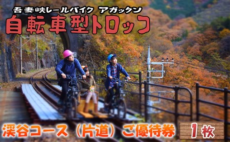 体験　自転車型トロッコ「アガッタン」優待券1枚 体験チケット 観光 