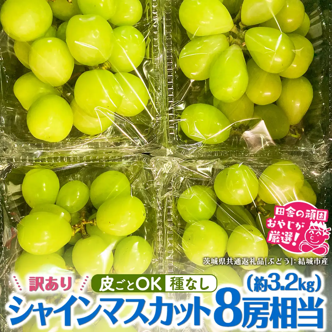 【 訳あり 】 シャインマスカット 8房相当（約3.2kg） 【2026年9月より発送開始】 （茨城県共通返礼品 [ぶどう]：結城市産）  フルーツ 果物