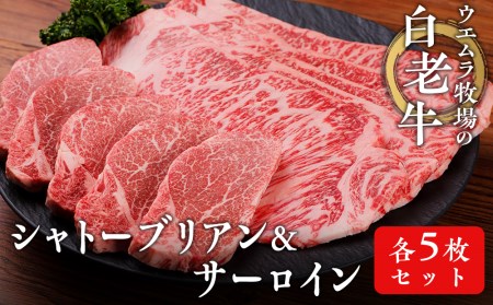 ウエムラ牧場の白老牛シャトーブリアン・サーロイン 各５枚セット 和牛 牛肉 希少部位 ヒレ肉 サーロインステーキ セット 肉料理 北海道ふるさと納税