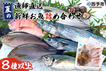 ＜漁師直送 夏の新鮮お魚詰め合わせ 8種以上＞ 魚 詰め合わせ 海鮮 海産物 海鮮セット イサキ 処理済み 麹漬け 明浜産 二ノ宮商事株式会社 愛媛県 西予市【冷凍】『2026年4月～9月末迄に順次出荷予定』ANS0012