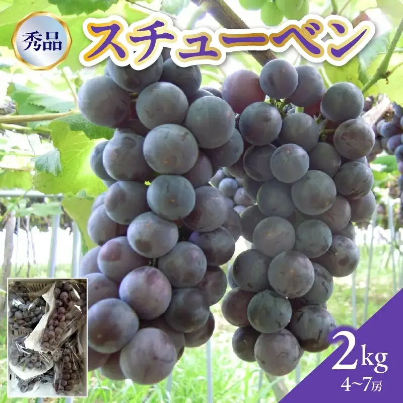 ぶどう（スチューベン）２ｋｇ　0142-2606