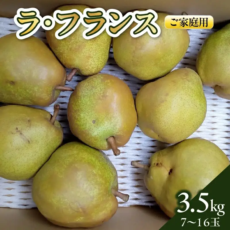 西洋梨（ラ・フランス）３.５ｋｇ　ご家庭用　0142-2611