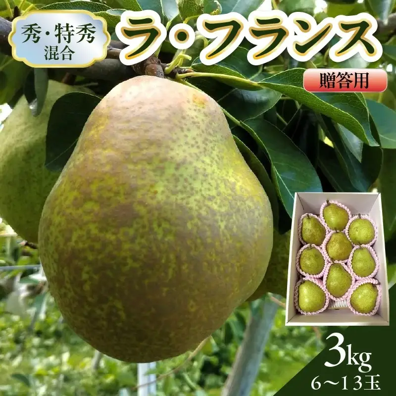 西洋梨（ラ・フランス）３ｋｇ　贈答用　0142-2610