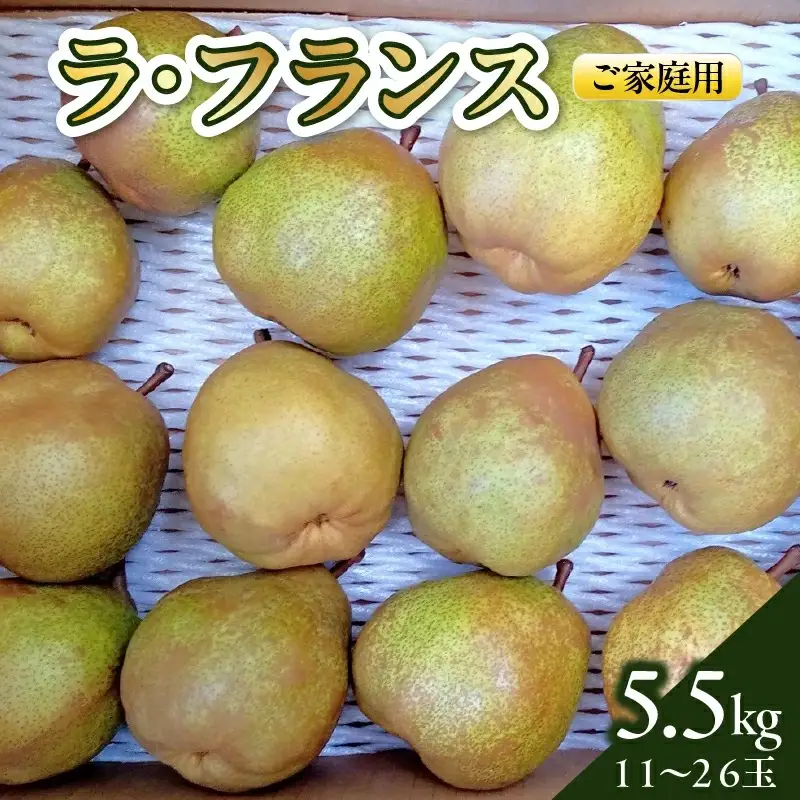 西洋梨（ラ・フランス）５.５ｋｇ　ご家庭用　0142-2613