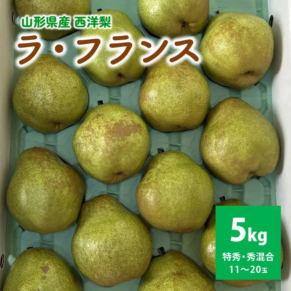 西洋梨（ラ・フランス）５ｋｇ　贈答用　0142-2612
