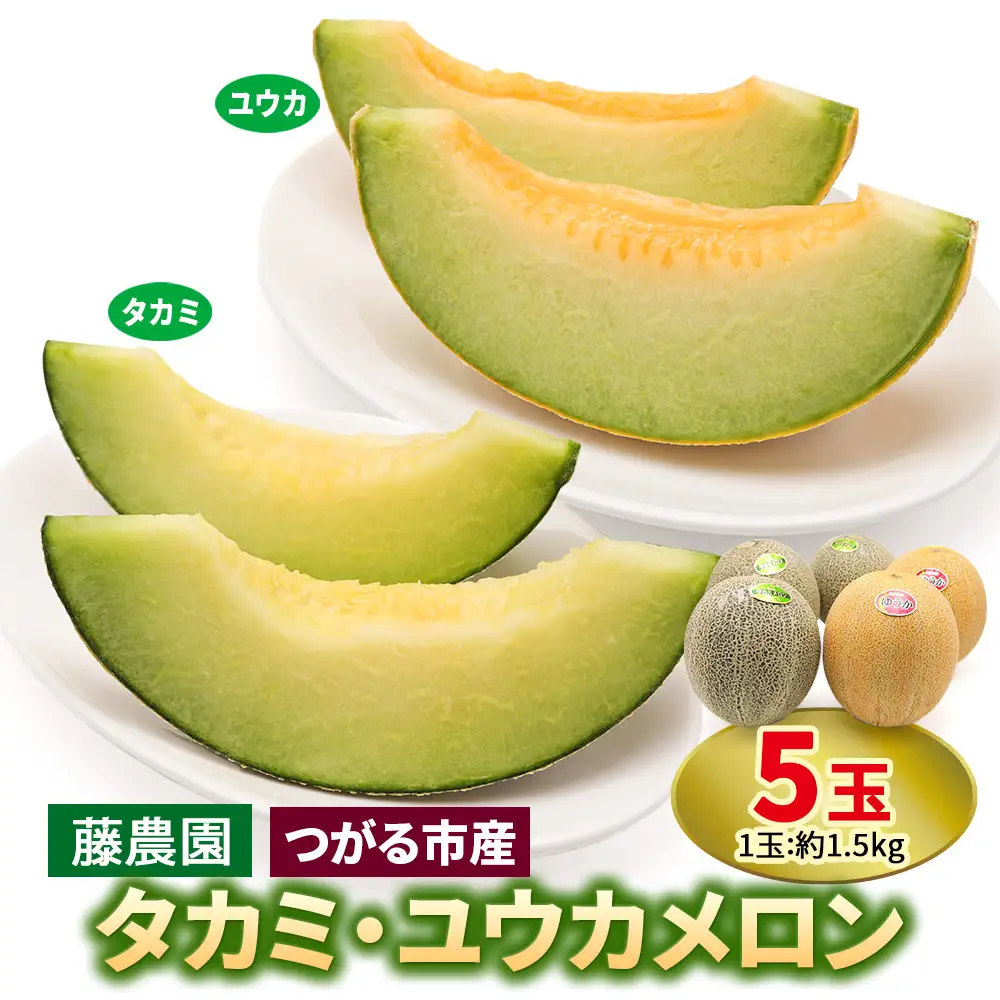 【先行予約】メロン [タカミ] [ユウカ] 5玉セット｜舐瓜 [0963]