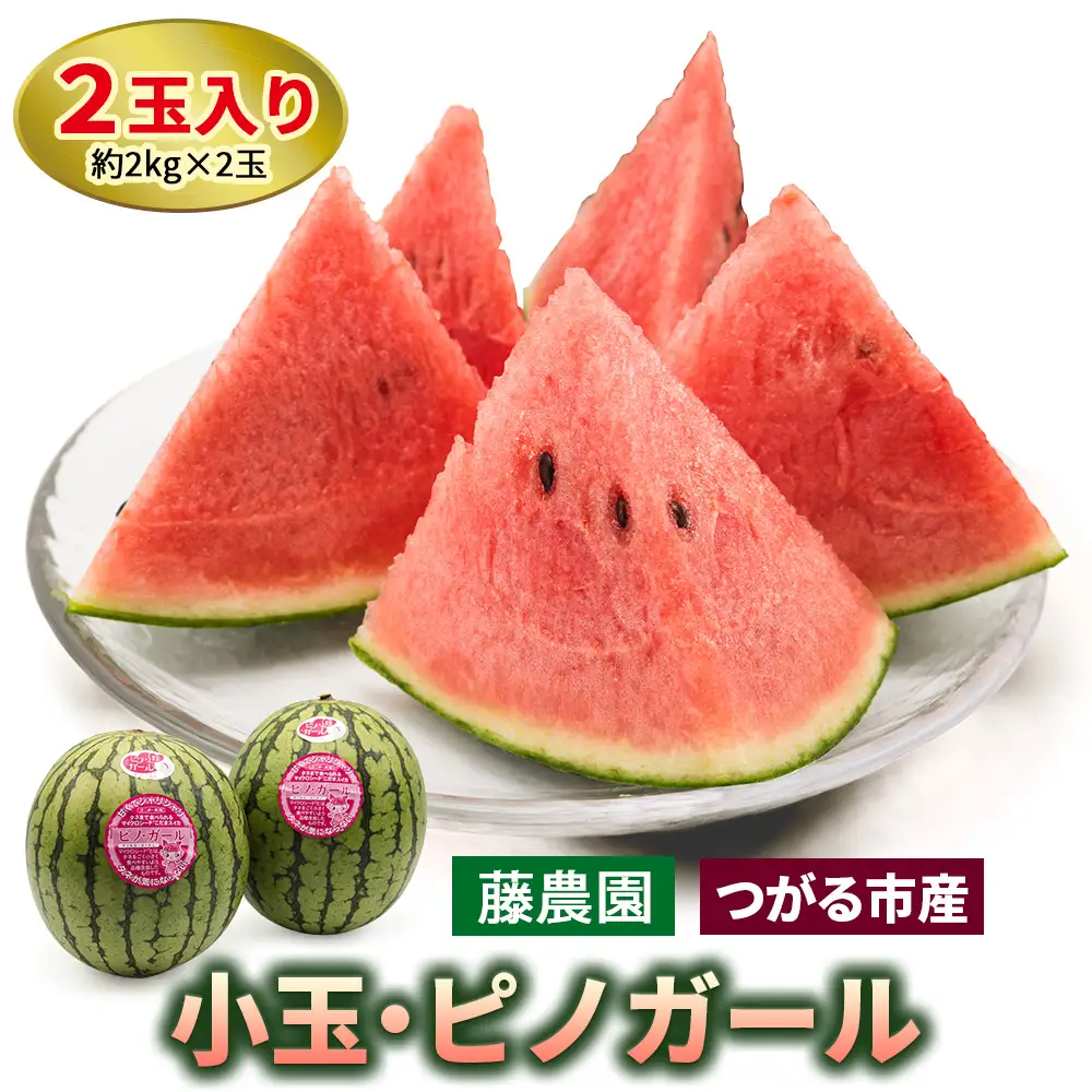 【先行予約】スイカ (小玉) ピノガール2玉 青森産 産直｜西瓜 [0834]