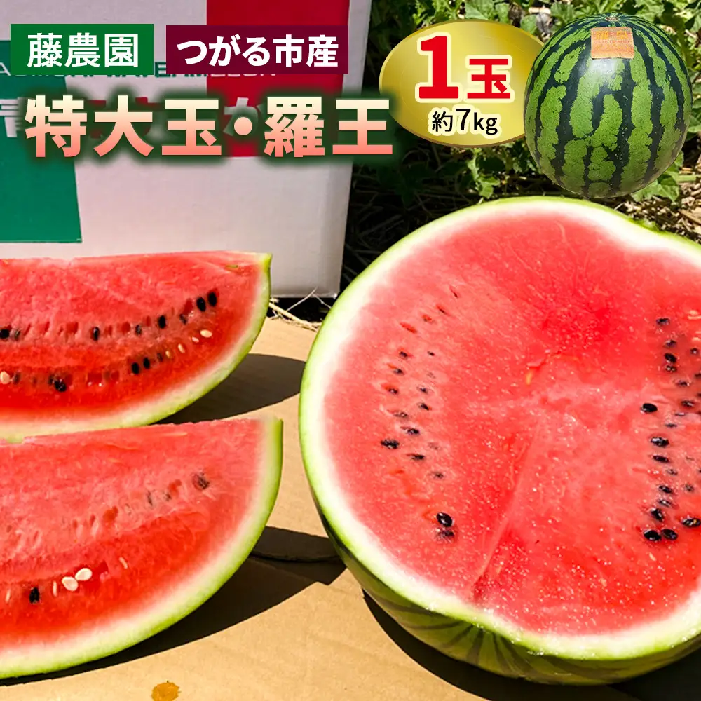 【先行予約】スイカ (特大玉) 羅王 1玉｜西瓜 [0835]