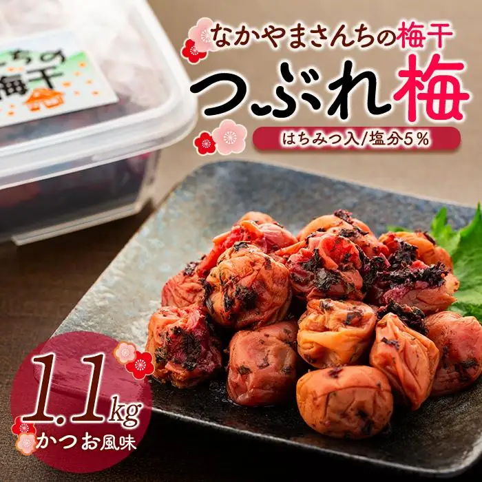 なかやまさんちの梅干（1.1kg×1箱）かつお風味（はちみつ入）塩分5％【訳あり】【つぶれ梅】