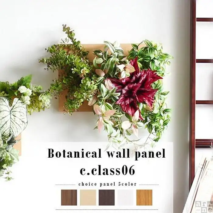 Botanical c.class 06　ブラウン