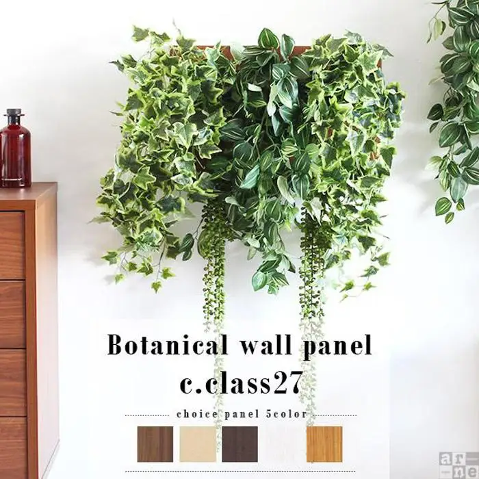 Botanical c.class 27　ダークブラウン