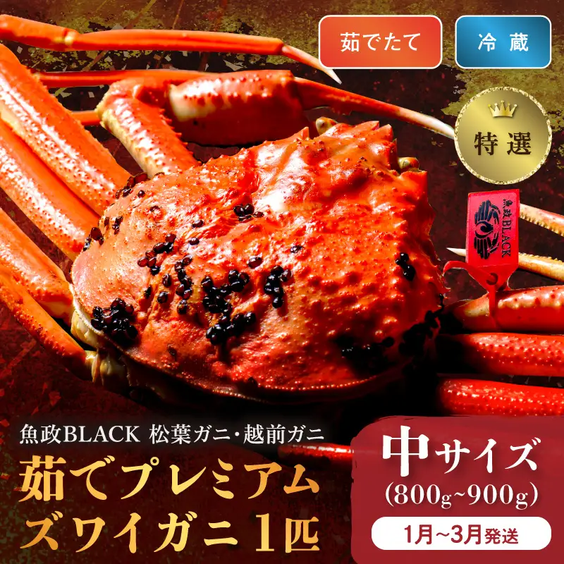 【蟹の匠 魚政】茹で　プレミアムズワイガニ 魚政BLACK（松葉ガニ・越前ガニ）特撰 中サイズ（800～900g） 1匹 (1月～3月発送）  蟹