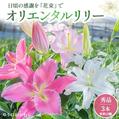 日頃の感謝を「花束」で、オリエンタルリリー【秀品3本】 誕生日 植物 フラワー ギフト プレゼント／Osy-A01