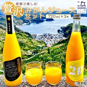 家族で楽しむ贅沢みかんジュース ３本セット【愛媛県西予市明浜産】 ANS0008