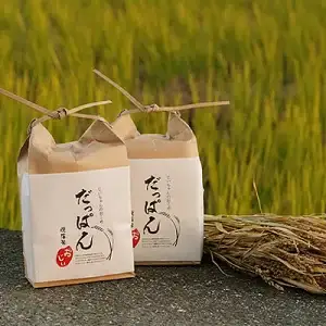 だっぱん米 高知県産 にこまる 精米4kg（2kg×2袋） 坂本龍馬 脱藩の道沿いで育ったお米