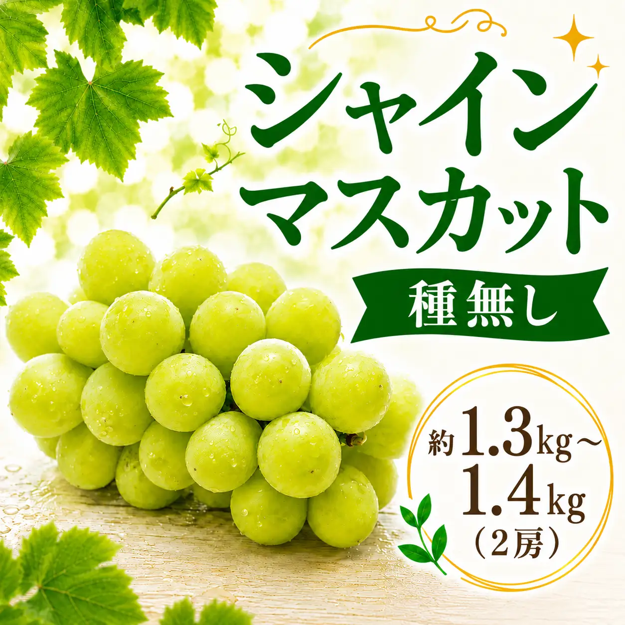 期間限定 ！ 筑西市産 シャインマスカット 2房 約1.3kg～1.4kg 種無し 2026年産