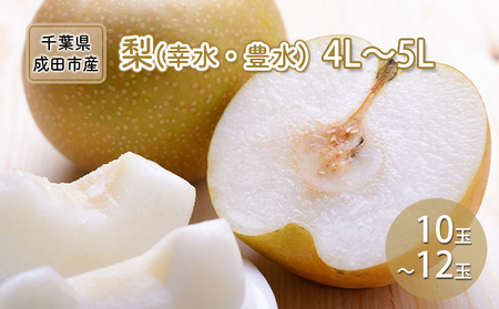 梨 幸水 豊水 4L～5L 10玉～12玉 なし ナシ 和梨 果物 くだもの フルーツ 旬のフルーツ 旬の果物 デザート 千葉 千葉県 成田市