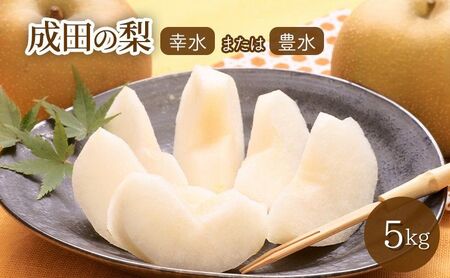 梨 5kg 幸水または豊水【日時指定不可】フルーツ 果物 ナシ なし 和梨 季節のフルーツ 季節の果物 旬のフルーツ 旬の果物 千葉 千葉県 成田市