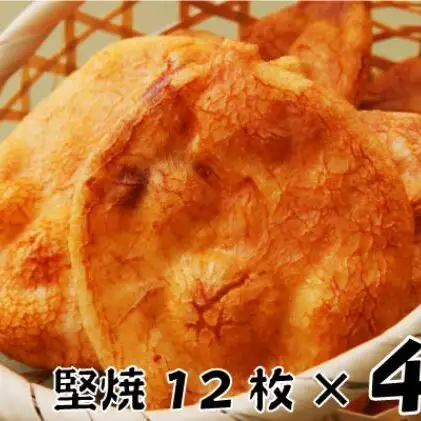 せんべい 林田のおせんべい 堅焼 12枚×4袋 せんべい 14,000円