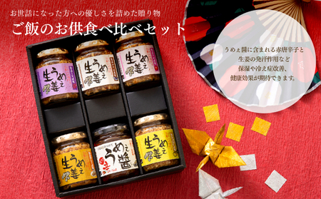 ご飯のお供食べ比べセット 生姜 ごはんのお供食べ比べ 