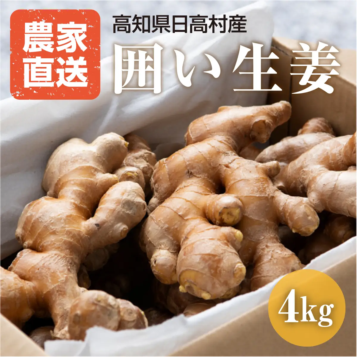 生姜 4kg　高知県産 囲い生姜 しょうが 低農薬栽培 大容量 業務用 農家直送 熟成