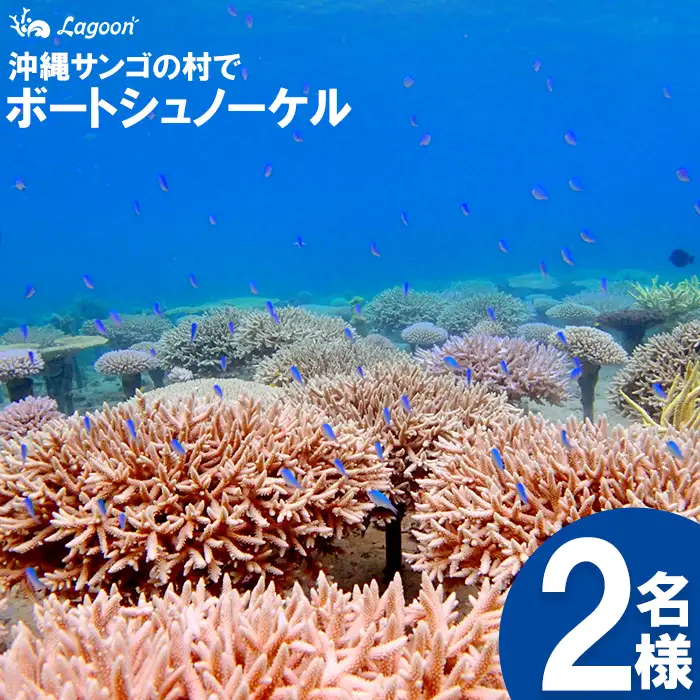 チケット ボートシュノーケル 2名 沖縄サンゴの村【恩納村ラグーン】