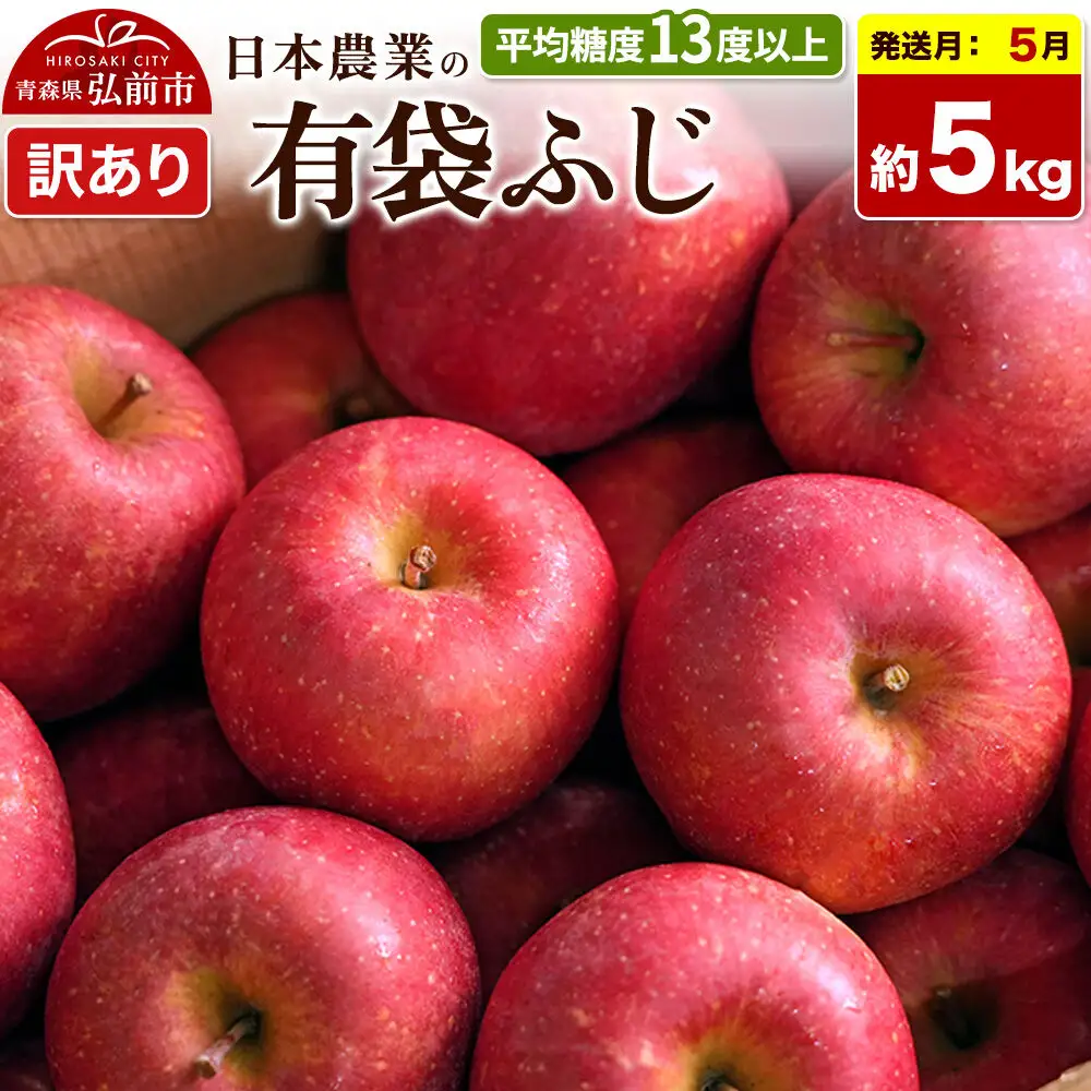 【27年5月クール便発送】りんご 有袋ふじ【訳あり】約5kg【CA貯蔵】平均糖度13度以上 クール便 青森 果物 フルーツ 林檎 リンゴ くだもの 不揃い 規格外