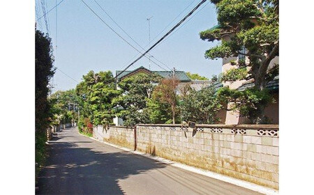 空き家見回りサービス　【11100-0012】