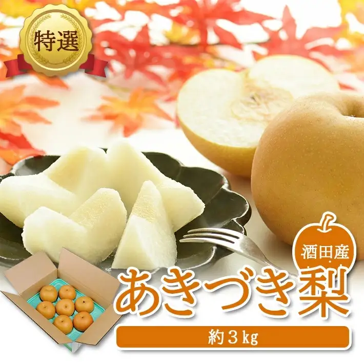 SA3036　酒田産【特選】あきづき梨　約3kg(6～9玉入)